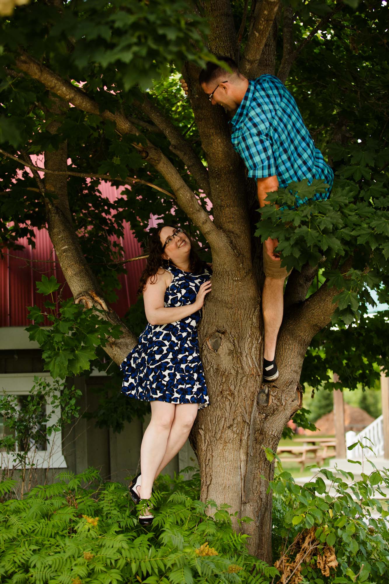 In a tree